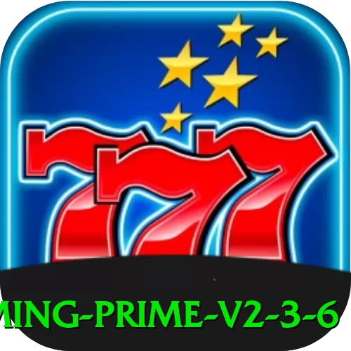45d Gaming Prime v2.3.6 - pk