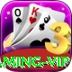 x6x6 - Gaming VIP